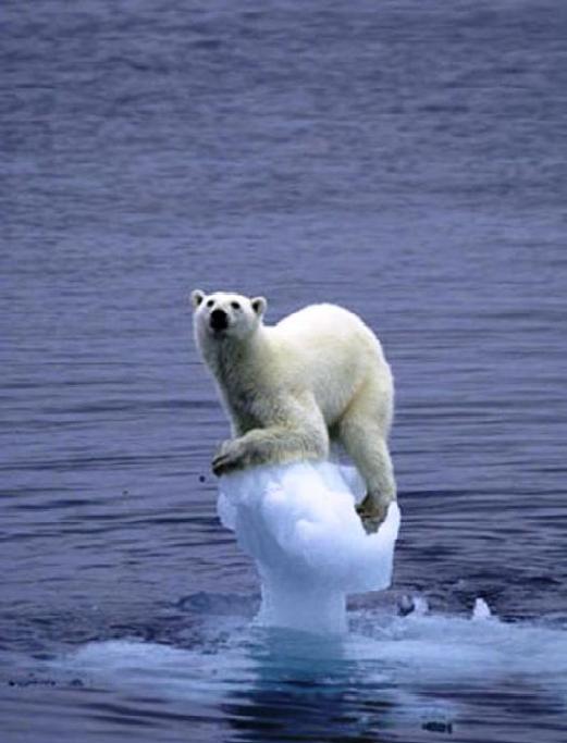 Global Warming Threat | Interesting Facts &amp; Current Events ...
