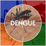 Interesting Facts about Dengue Fever