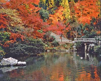 Travel to Historic City of Kyoto Japan | Interesting Facts & Current