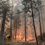 Massive Wildfire in California's Yosemite