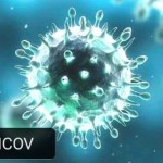 Important Things You Should Know About the 2019 Novel Coronavirus