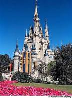Walt Disney Theme Park