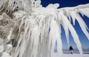 Man walks past an ice-covered tree along Lake Michigan in Chicago